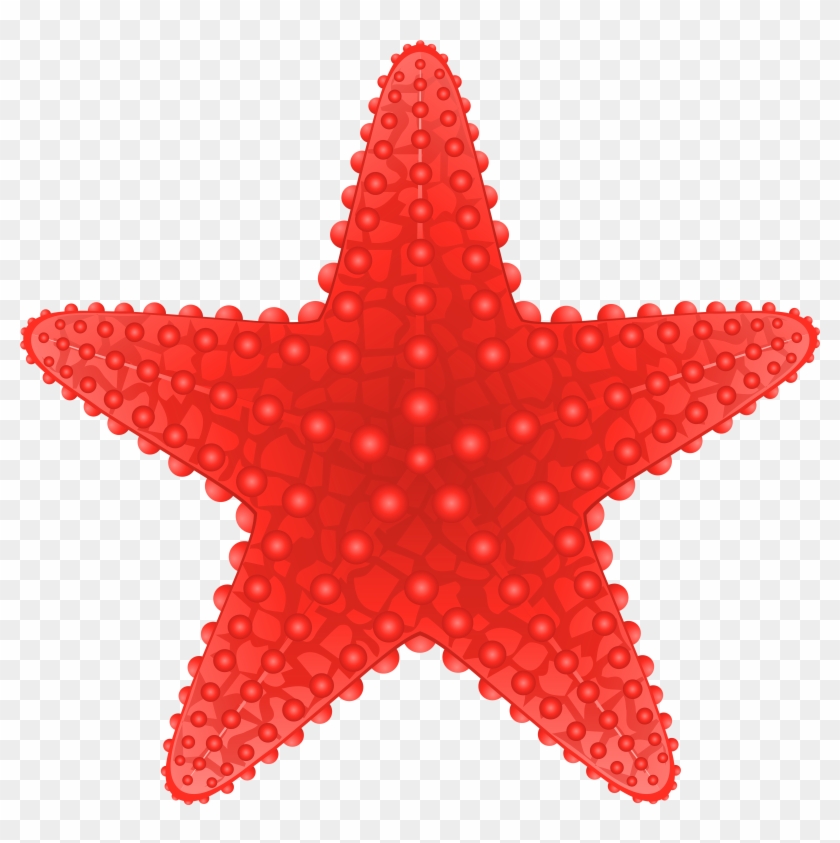 Starfish Transparent Png Clip Art Image - Starfish Clipart Png #490676