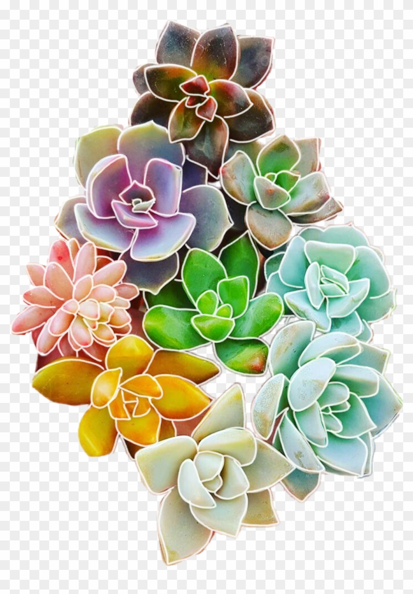 Flowers Sticker - Cute Colorful Succulents Clipart