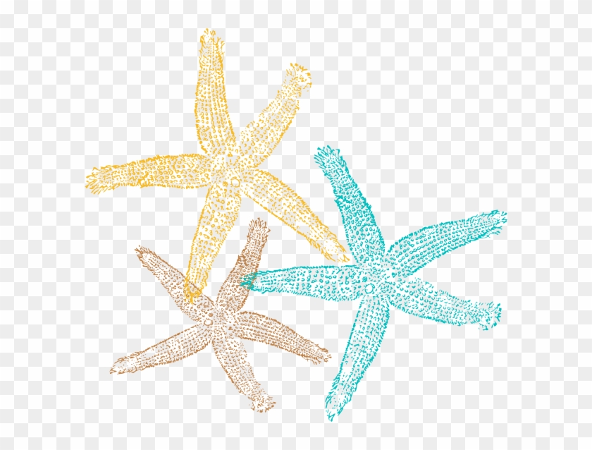 Sea Star Png Pic - Png Seastar Clipart #490770