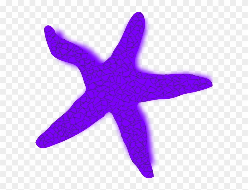 Starfish Clipart Image - Starfish Clip Art - Png Download #490971