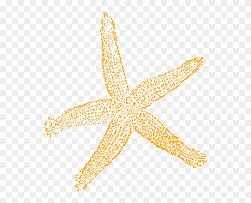 Best Free Images Clipart Starfish - Fish Clip Art - Png Download #491242