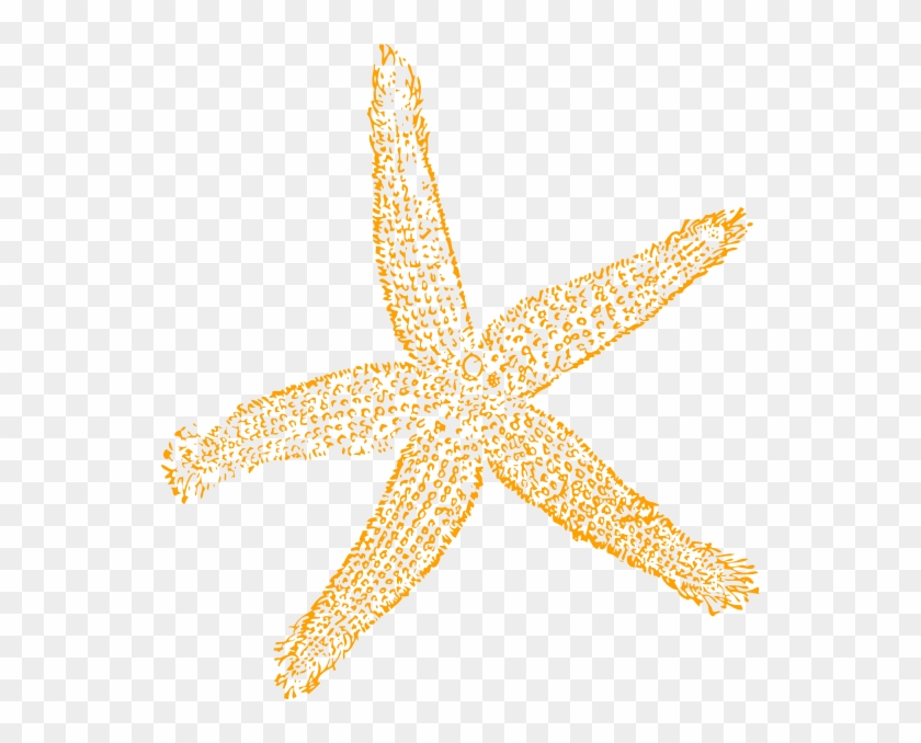 Best Free Images Clipart Starfish - Fish Clip Art - Png Download