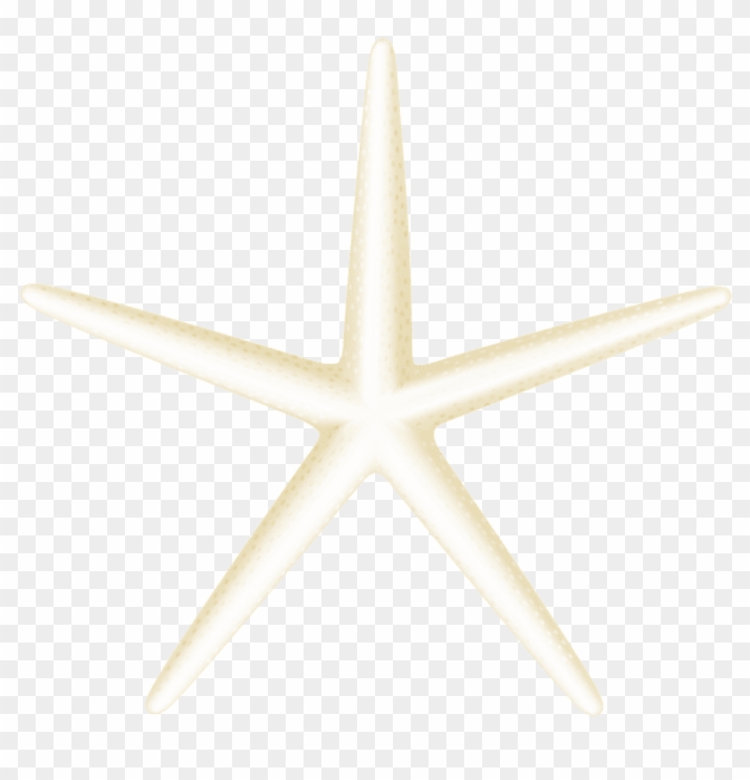 Free Png Download Starfish Transparent Clipart Png - Starfish #491315