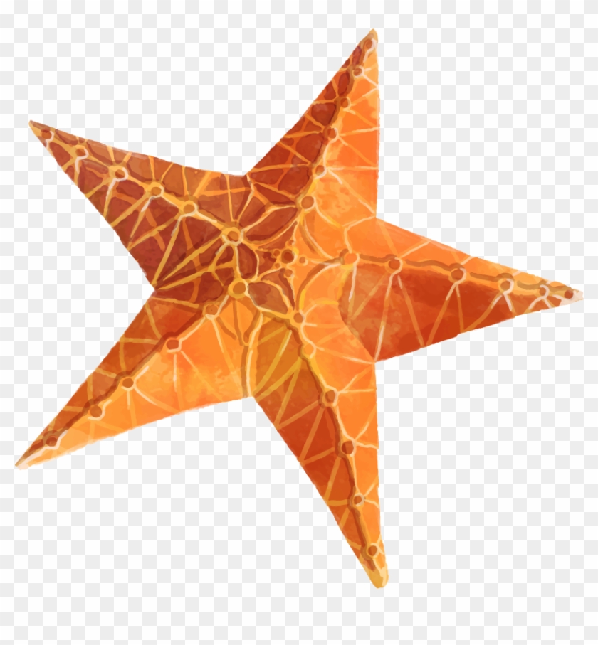 Starfish Png Transparent Free Images - Starfish Clipart #491595