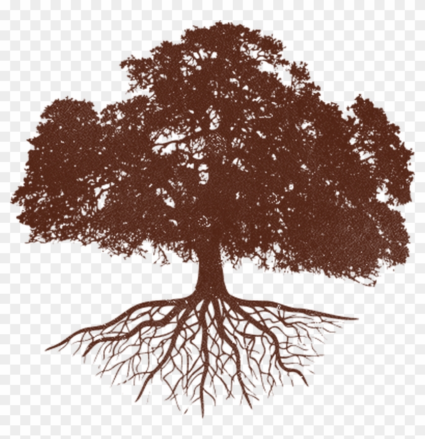 Grocers Exclusive News Offers - Vintage Tree Clipart #492133