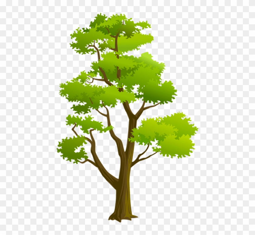 Free Png Download Tree Png Png Images Background Png - Arvores Png Desenho Clipart #492188