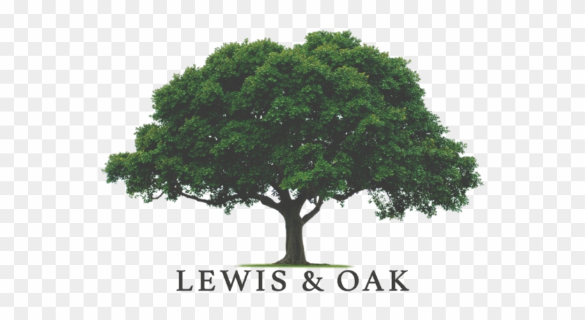 Oak Tree Format=1500w Clipart