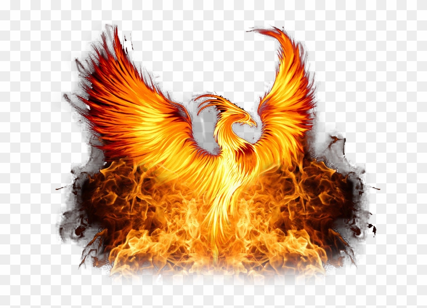 Phoenix Png Photos - Nxt Takeover Phoenix Png Clipart