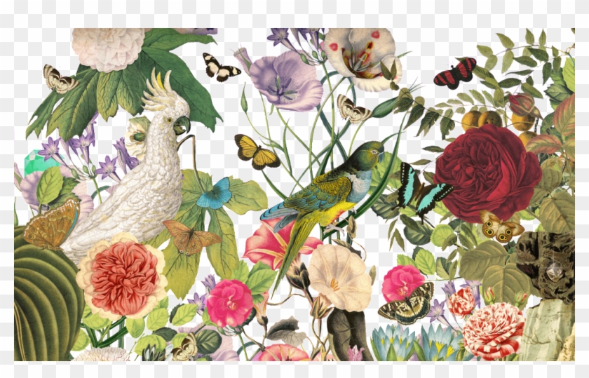 Hundred Birds Toward The Phoenix Png Element - Garden Roses Clipart #494416