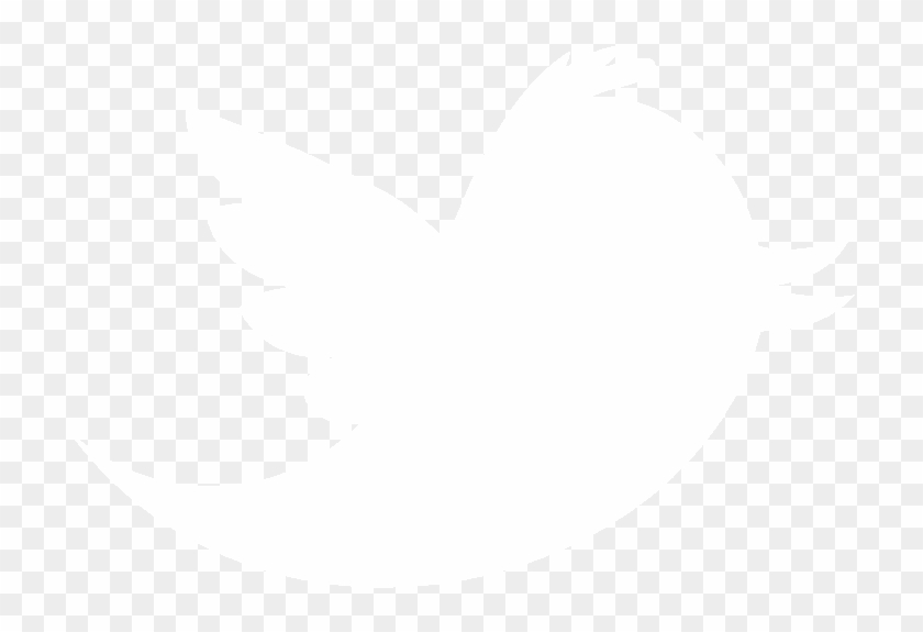 Search Png White Clipart Panda Free Images - Johns Hopkins Logo White Transparent Png #494590