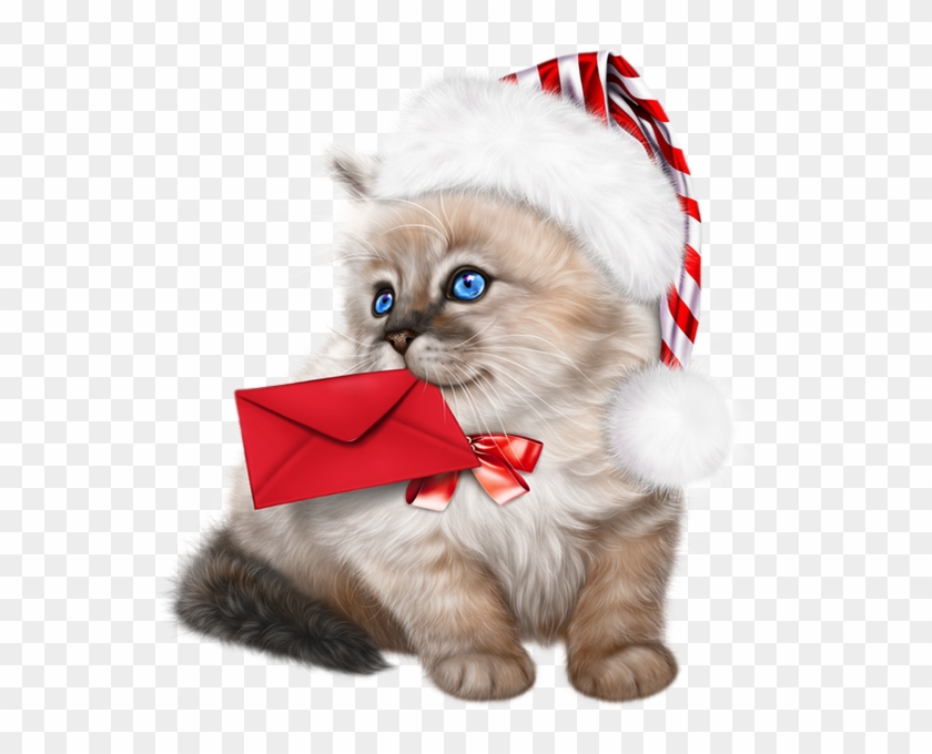 Christmas Kitten Png - Chatons Png Clipart