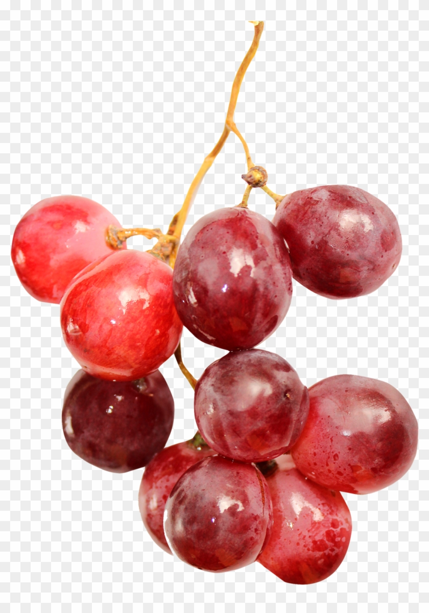 1358 X 1616 - Red Grapes Png Clipart #495659