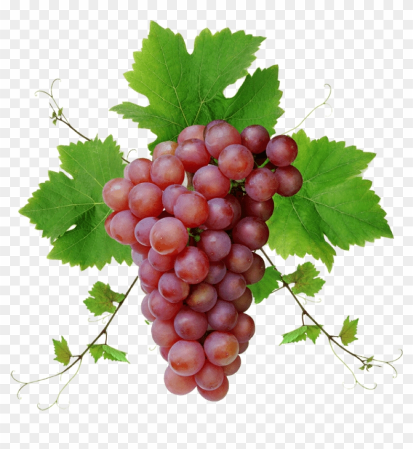 Free Png Download Grapes Png Images Background Png - Grapes Png Clipart