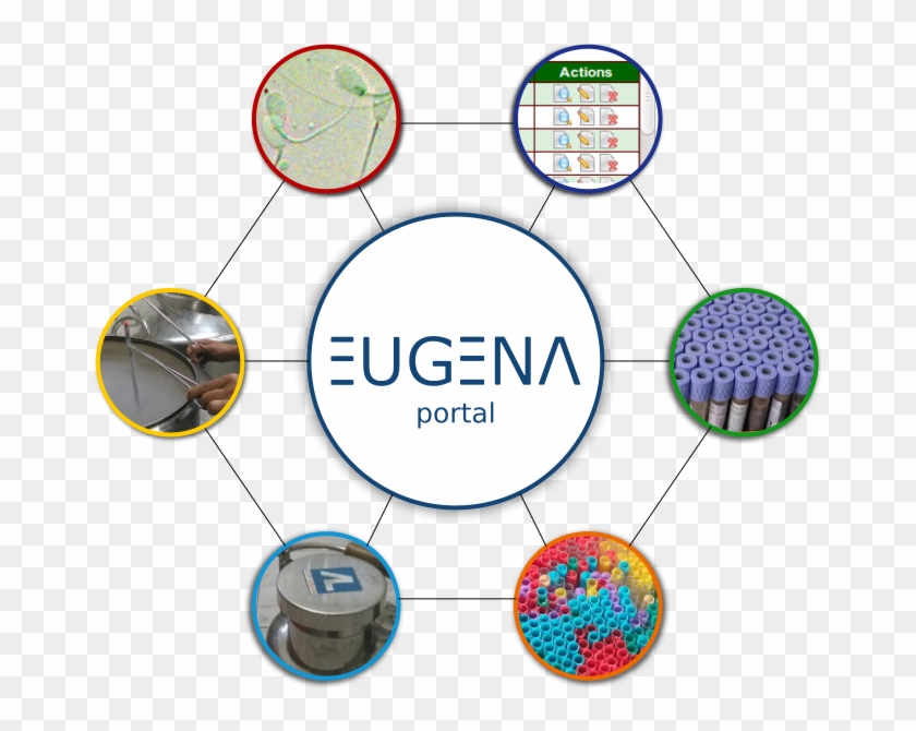 Circle Clipart #496027