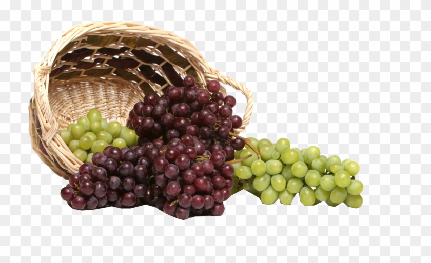 Grapes Png Royalty-free Image - Grapes Scenery Clipart