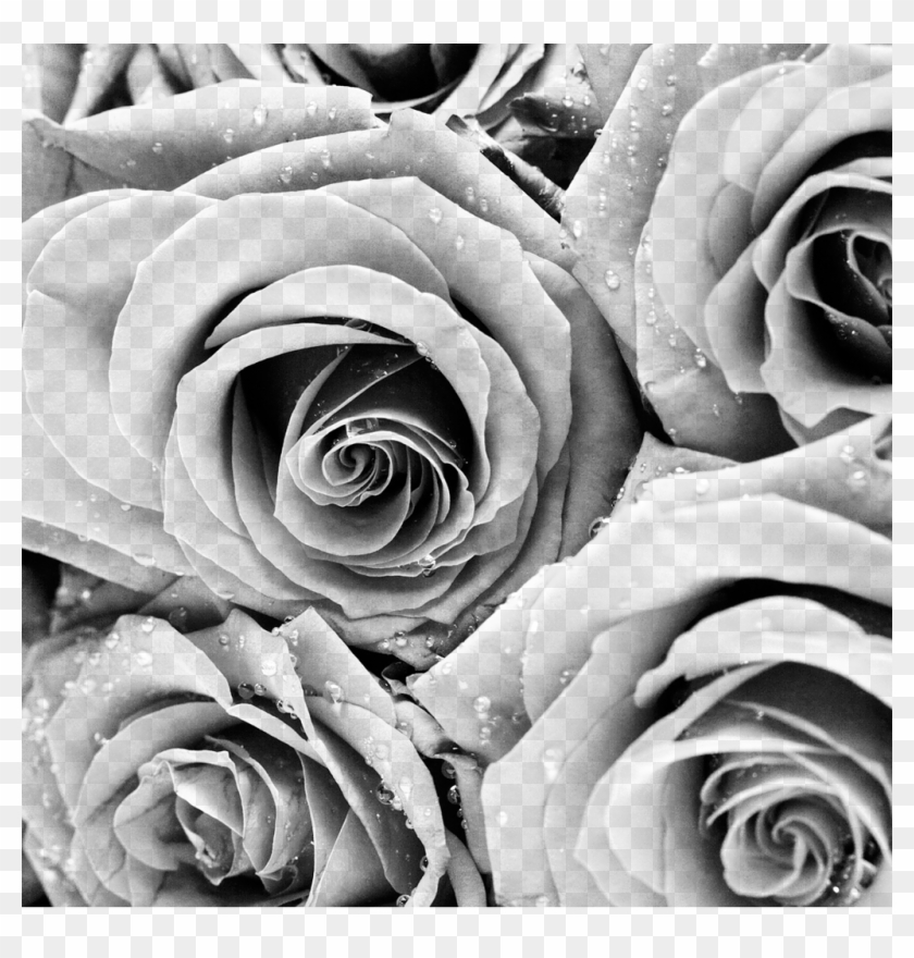 For This Production Of Beauty And The Beast, All Patrons, - February Clipart #496601