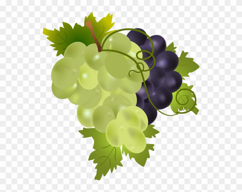 Grapes Png Clip Art Image - Png Grapes Clip Art Transparent Png #496624