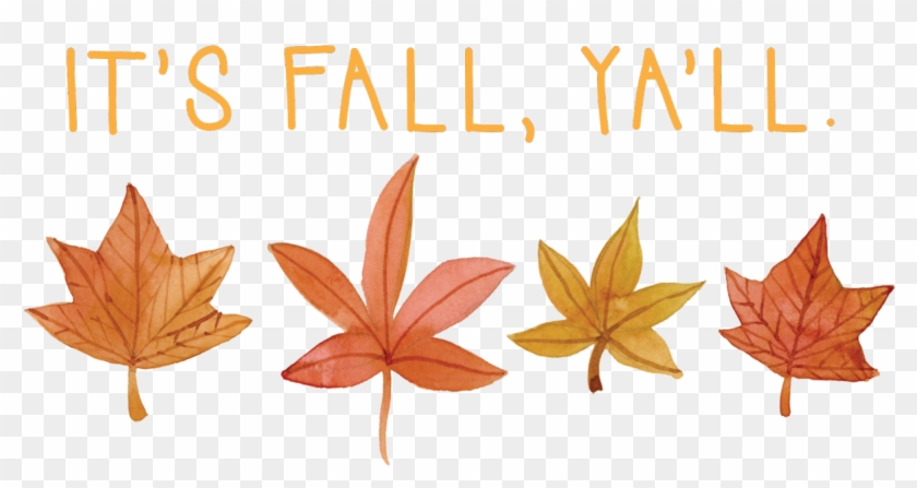 Clipart Tree No Leaves - Maple Leaf - Png Download