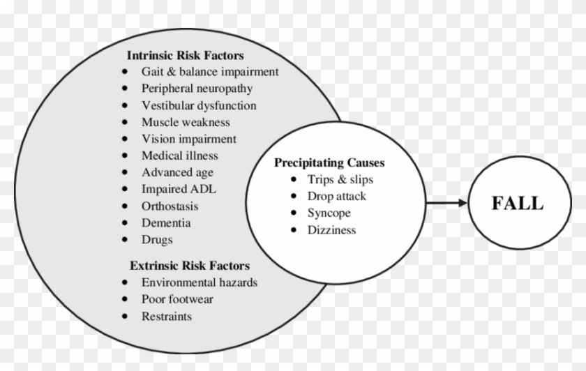 The Multifactorial And Interacting Causes Of Falls - Causes Of Falls Clipart