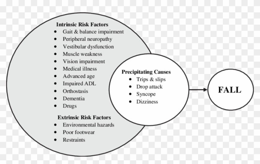 The Multifactorial And Interacting Causes Of Falls - Causes Of Falls Clipart #497558