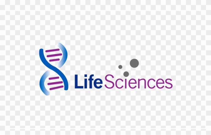 Life Sciences Recruitment - Life Map Clipart #498100