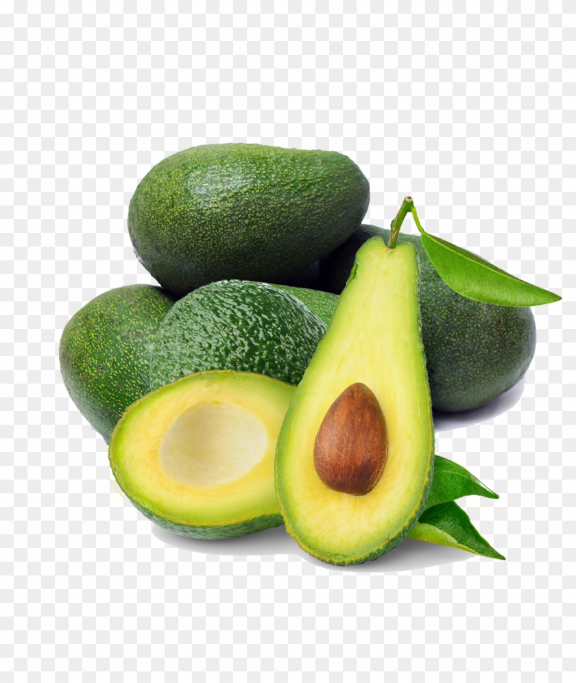 Avocado Png - Avocado In Png Clipart #499383