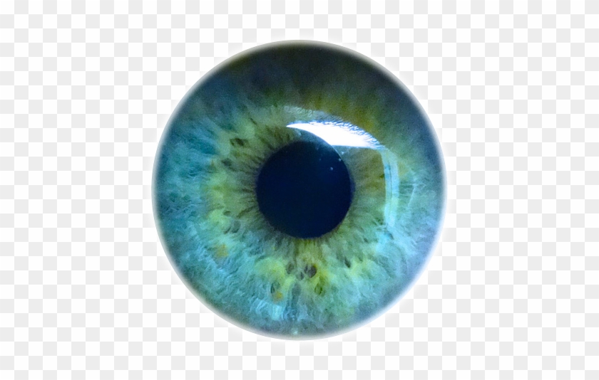 Eye Pupil Png Background Image - Pupil Png Clipart #499987