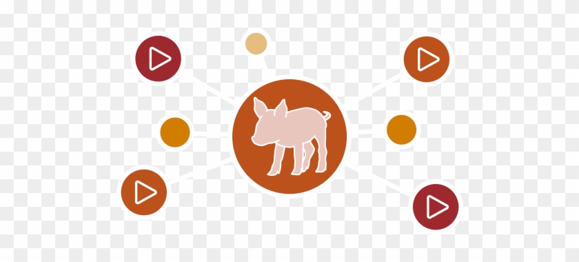 Cargill Introduces The All New Neopigg® Video Series - Cat Clipart