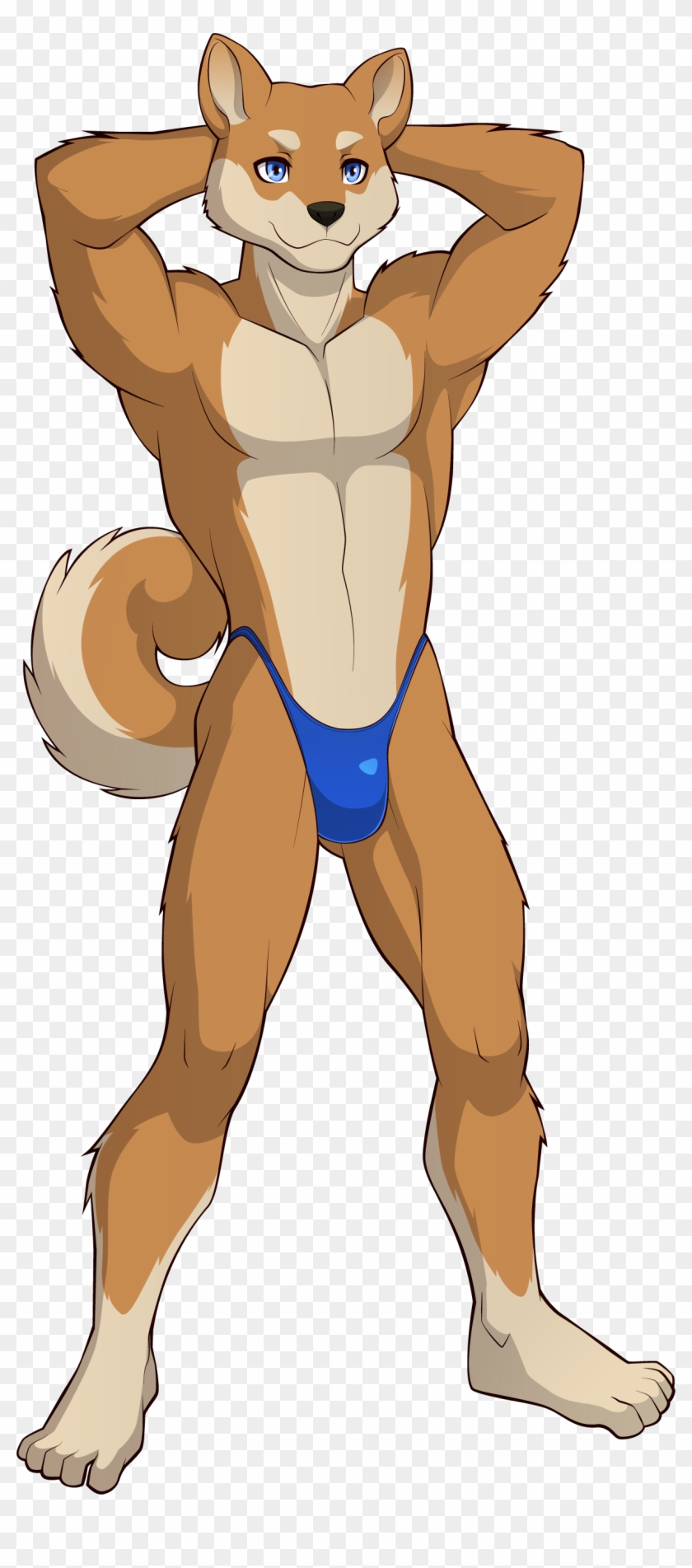 Skimpy Harem Clipart