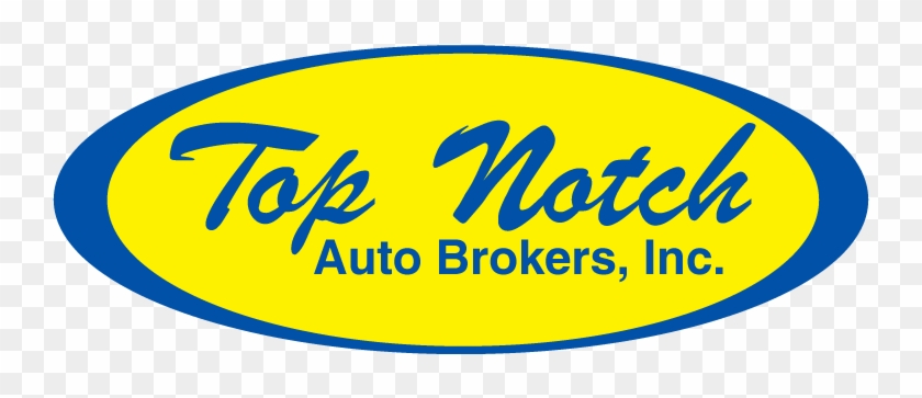 Circle Clipart #4902488