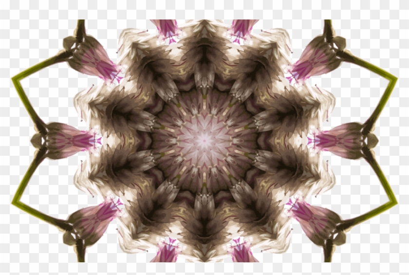 Computer Icons Kaleidoscope Sharingan Itachi Uchiha - Asclepiadoideae Clipart #4902680