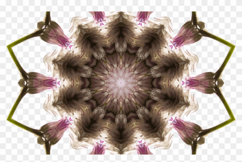 Computer Icons Kaleidoscope Sharingan Itachi Uchiha - Asclepiadoideae Clipart #4902680