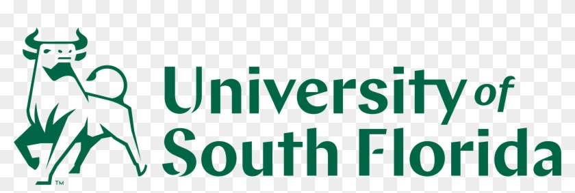 University Of South Florida - Calligraphy Clipart