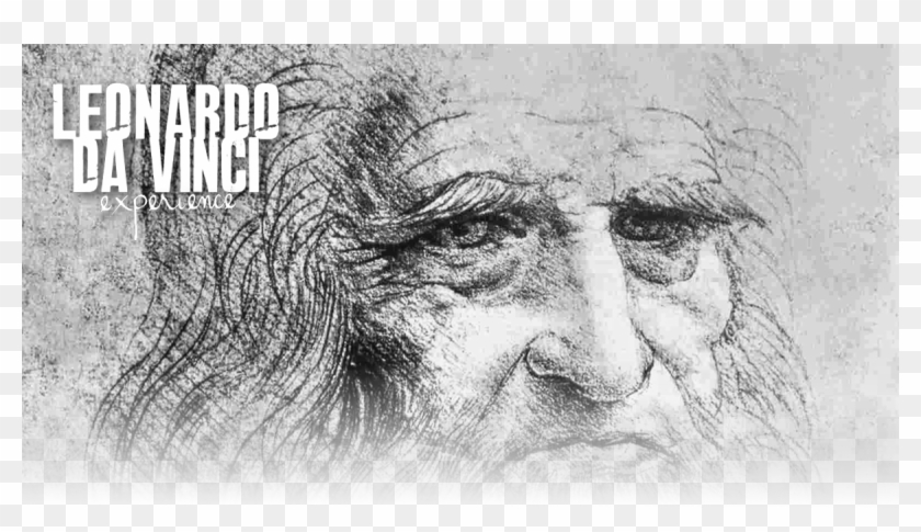 Leonardo-4 - Leonardo Da Vinci Self Portrait Clipart #4907598
