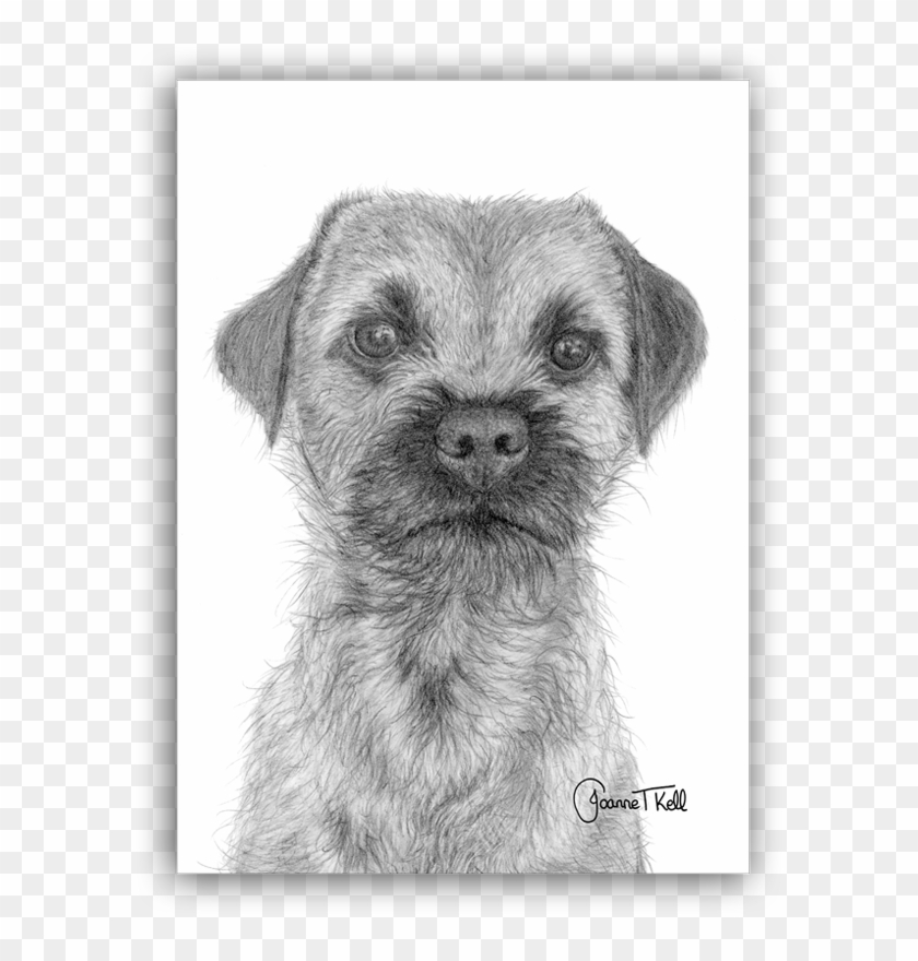 Border Terrier Greeting Card - Sketch Clipart