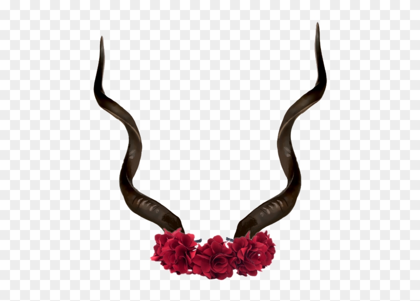 #cuernos #flores @brian Galaxy - Deer Clipart
