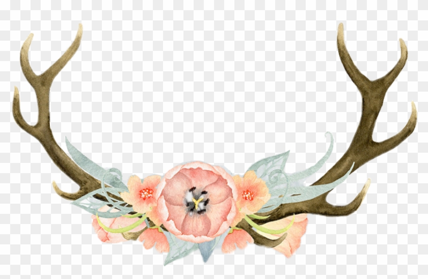 #flores #flor #cuernos #rosa - Antlers Watercolor Clipart #4909286
