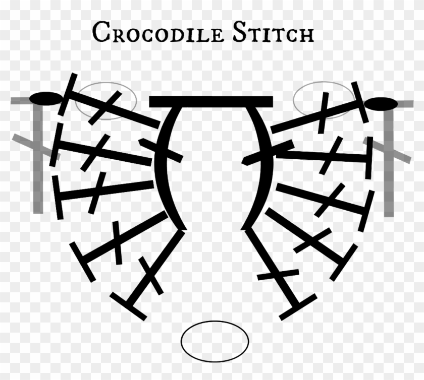 Crocstitch2 - Circle Clipart #4909628