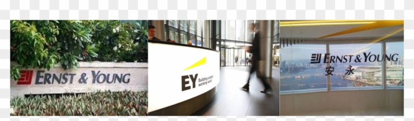Ey Becomes A Climate Bonds Partner - Ey Hawaii Clipart