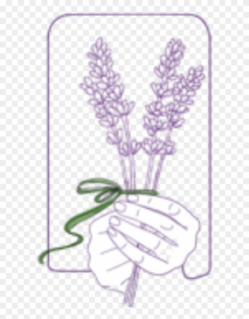 Lavender Sprigs - Illustration Clipart #4913177