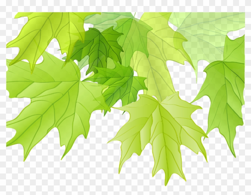 #ftestickers #tree #leaves #maple #corner #border - اوراق الشجر Png Clipart