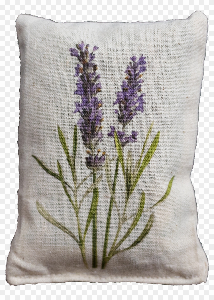 Lavender Sprigs Clipart #4913279