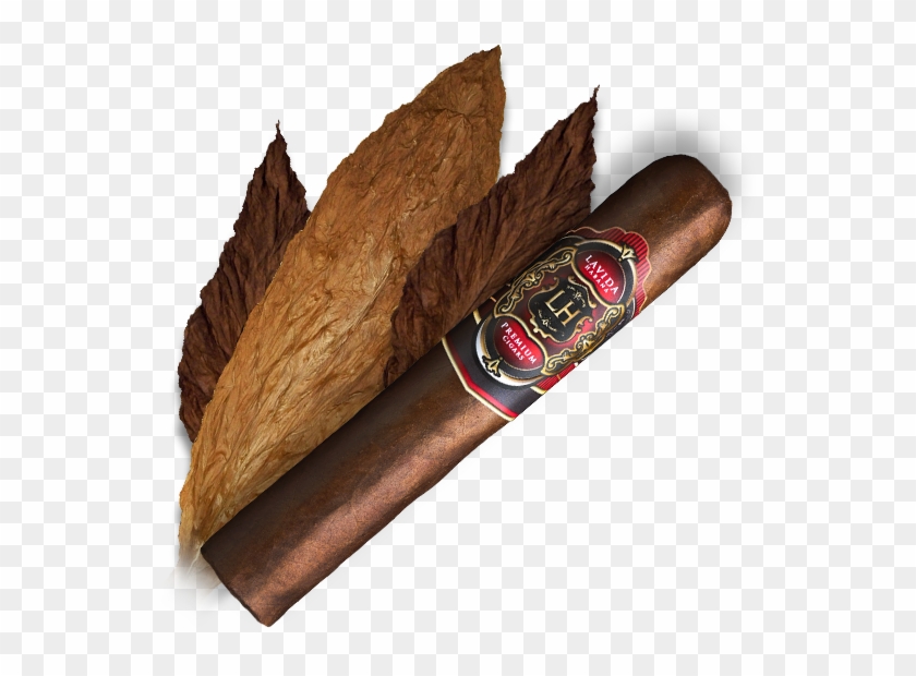 Cigar Drawing Hand Holding - Cuban Tobacco Png Clipart