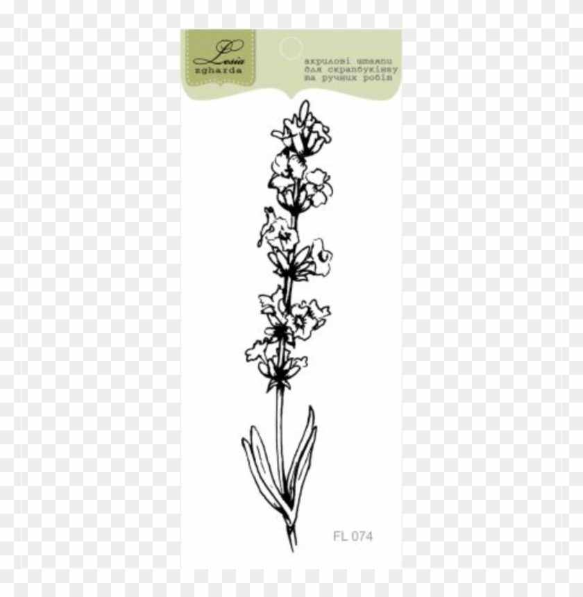 {fl074} Stamp "lavender Stem" - Butterfly Orchid Clipart #4914657