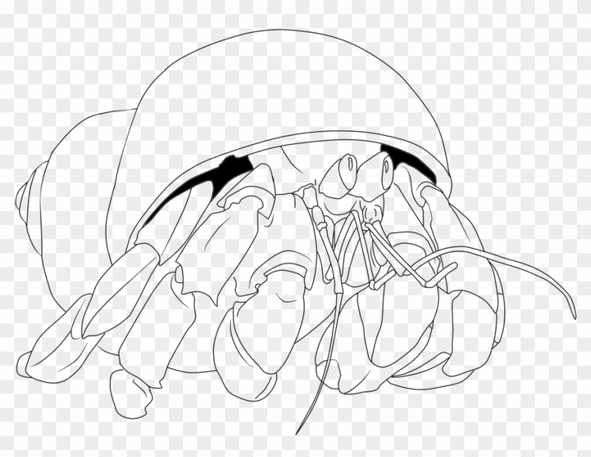 Crab, House For Hermit Crab, Coloring Book, Monochrome - Coloring Book Clipart
