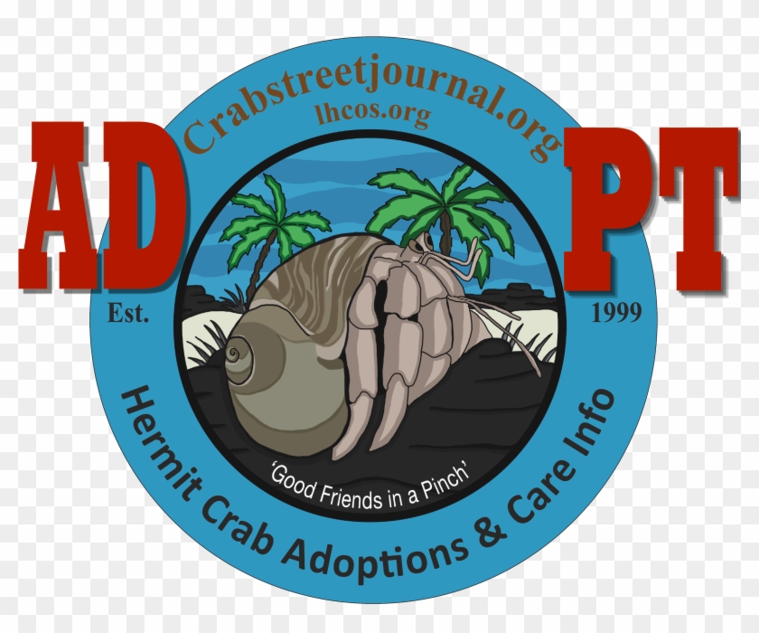 Hermit Crab Adoption Program - Graphic Design Clipart #4916015