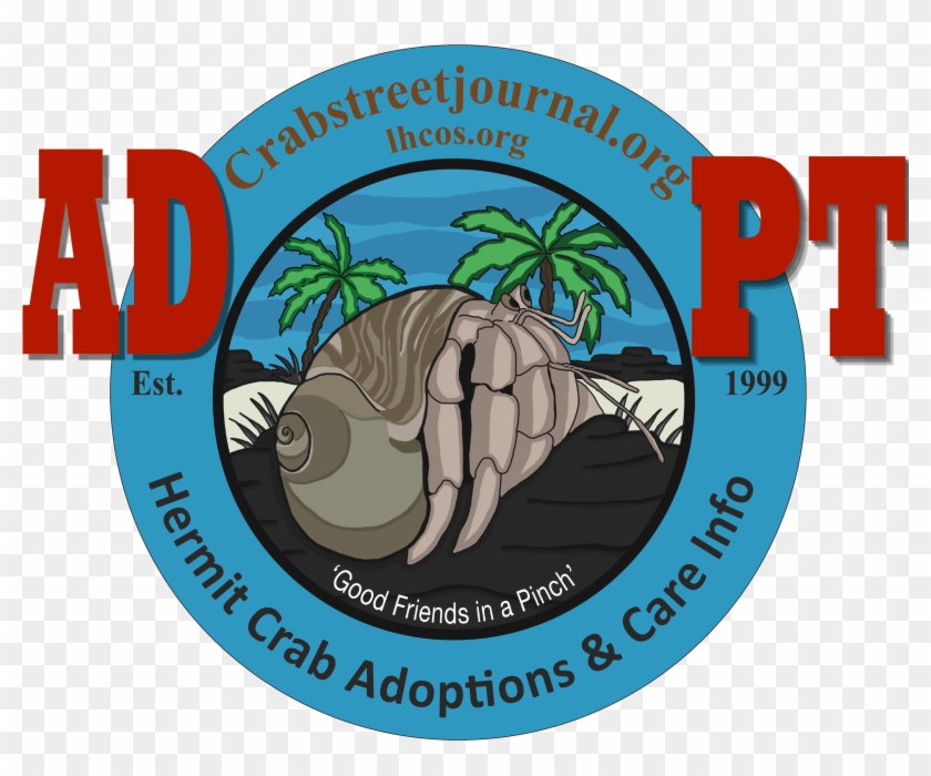 Hermit Crab Adoption Program - Graphic Design Clipart