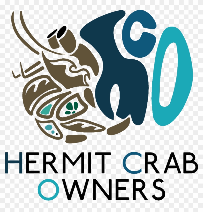 Check Out This Information On Hermit Crab Care In Our - Graphic Design Clipart #4916135