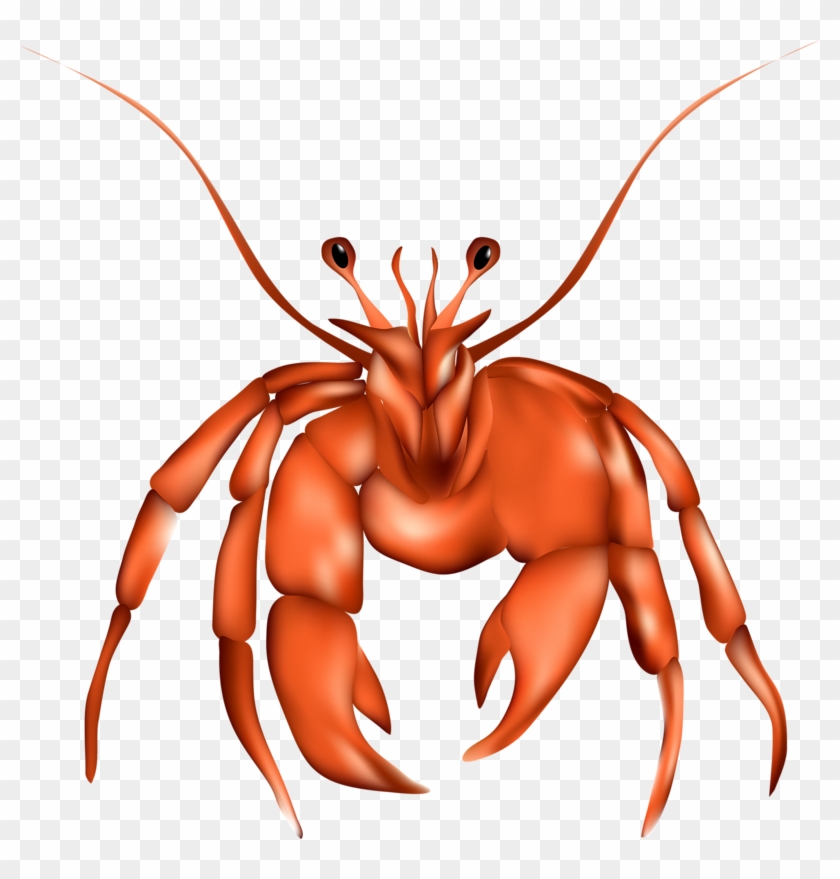 Lobster Clip Art Hermit Transprent Png Free - Illustration Transparent Png #4916972