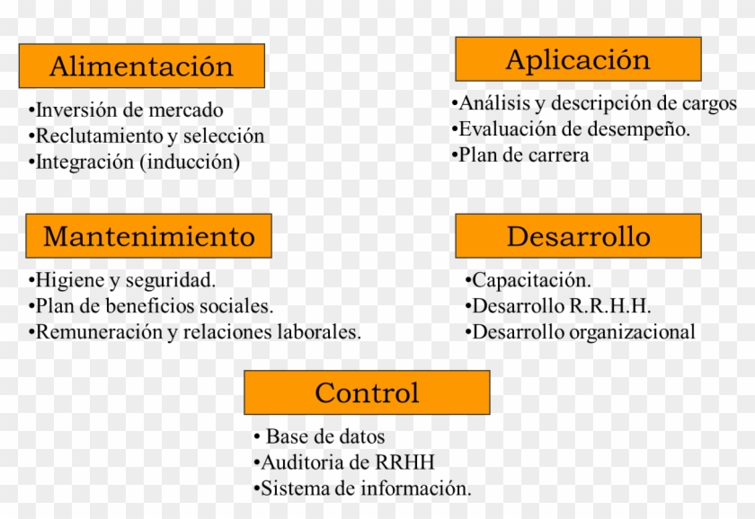 Administración De Recursos Humanos - Parallel Clipart #4917623